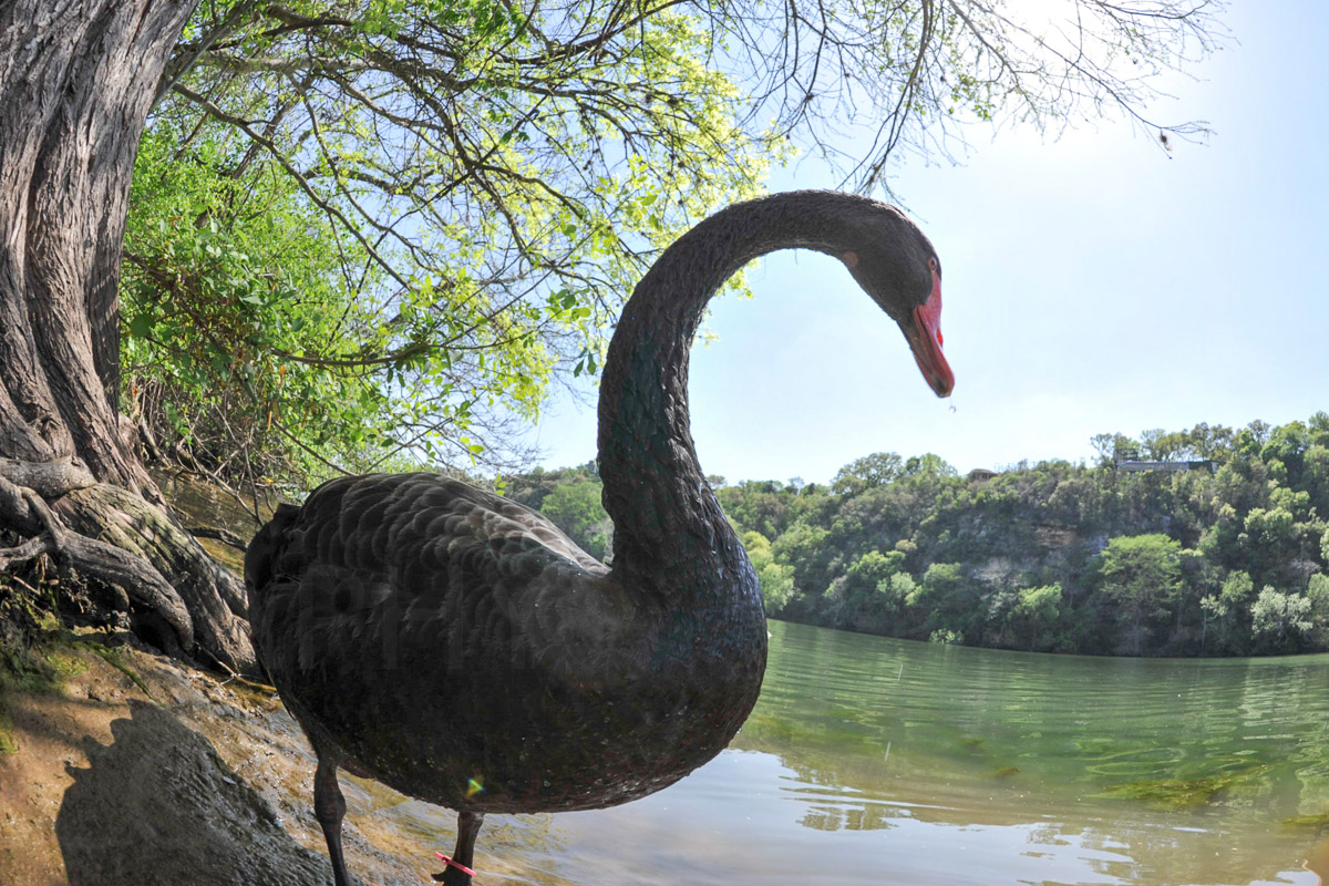 Karlduncanphoto-nature-4534 image by Karl Duncan Photography