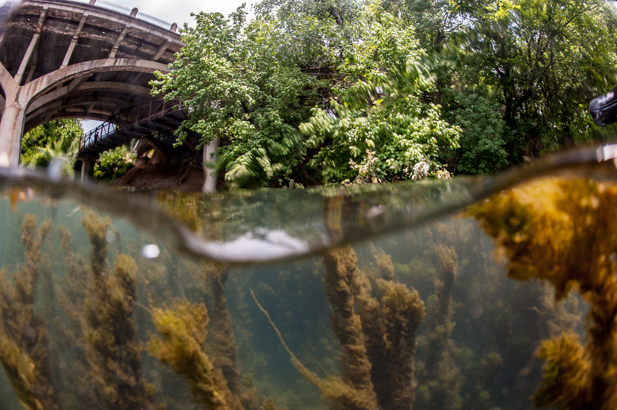 Karlduncanphoto-underwater-7106 image by Karl Duncan Photography