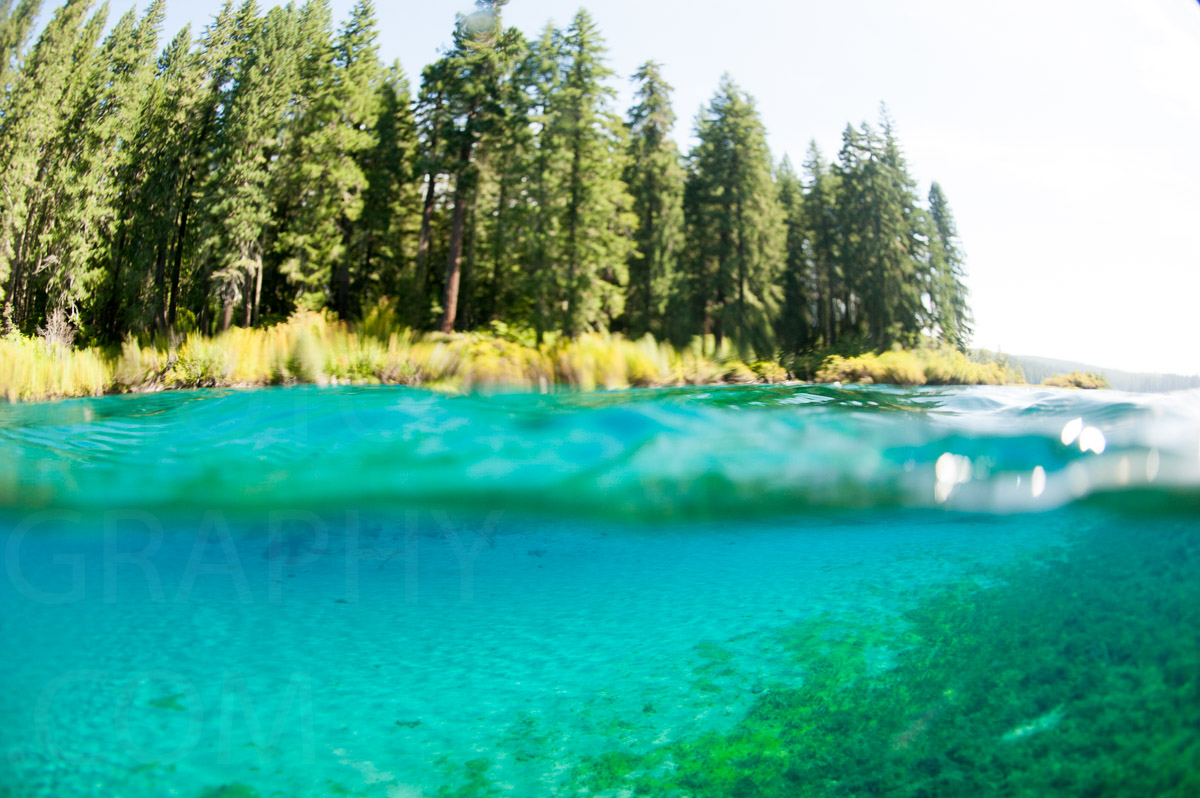 Karlduncanphoto-underwater-9541 image by Karl Duncan Photography