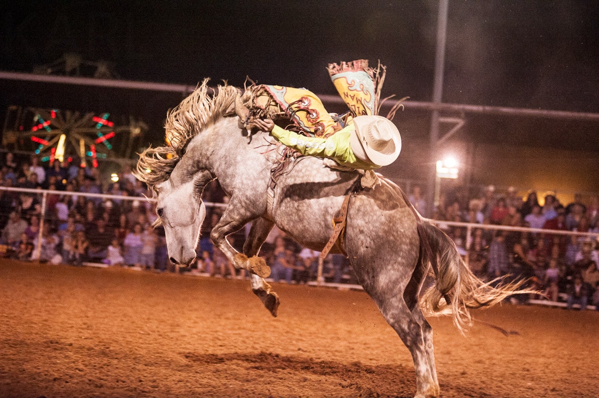 Painted rodeo horse jumping — Karl Duncan Photography