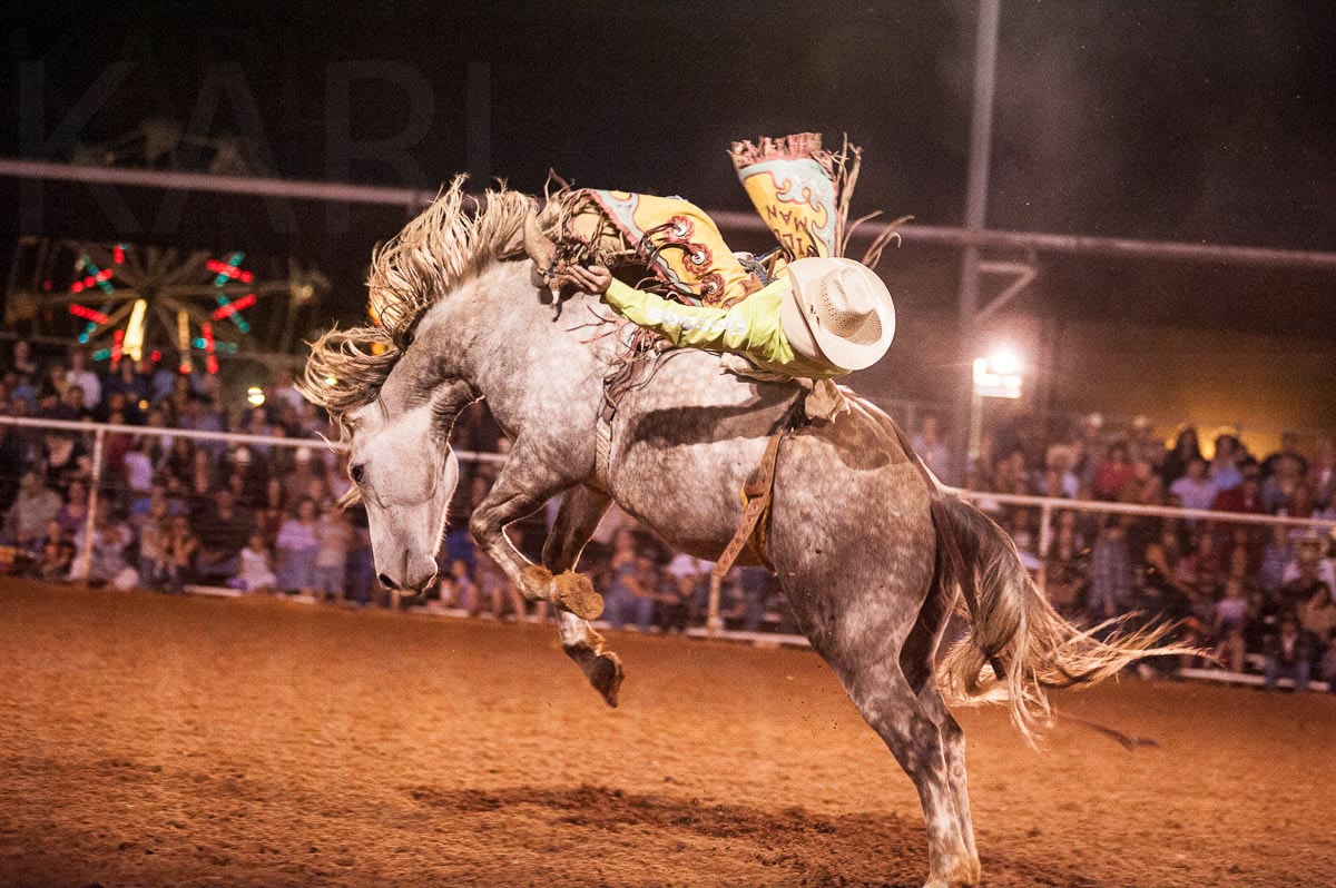 Painted horse art — Karl Duncan Photography