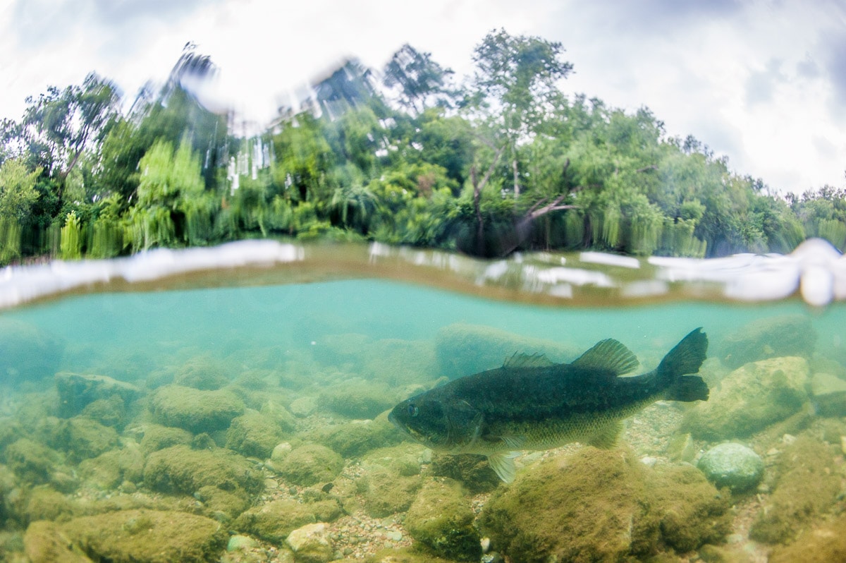 Nature — Karl Duncan Photography