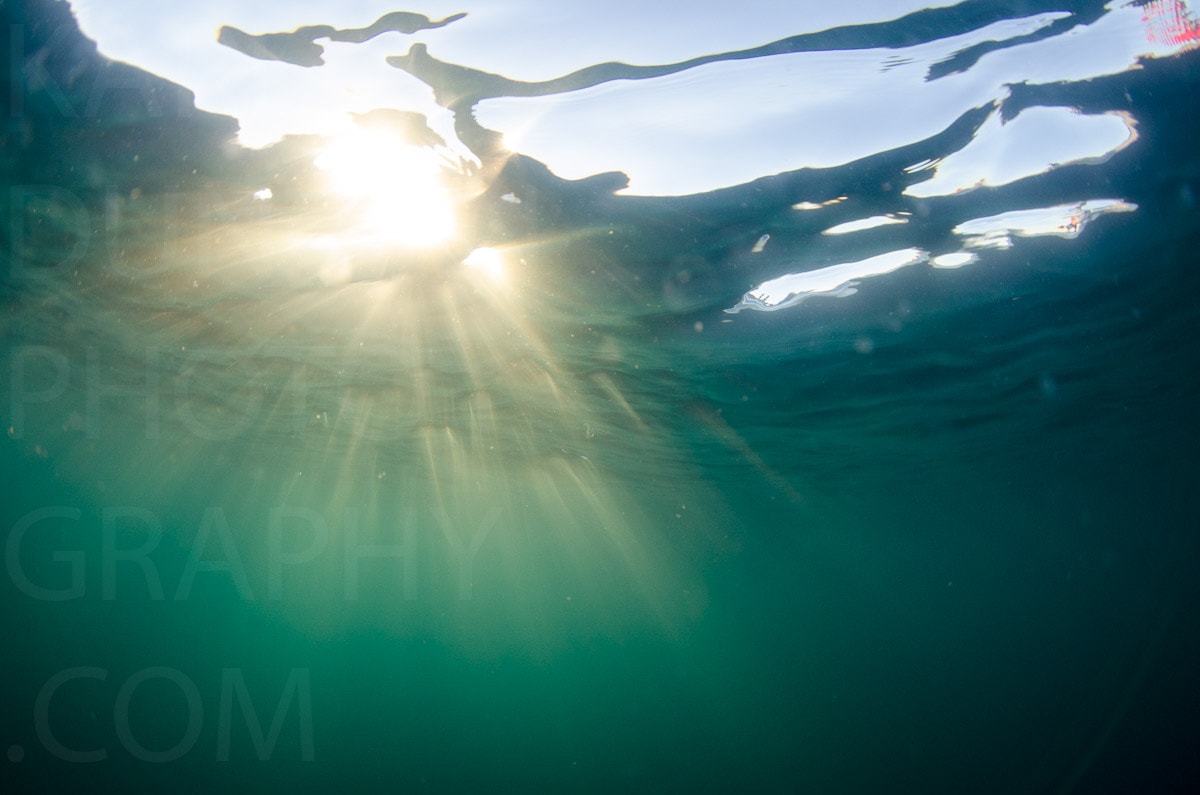 Underwater — Karl Duncan Photography