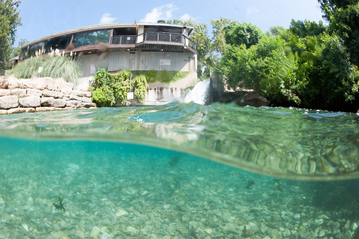 Underwater — Karl Duncan Photography