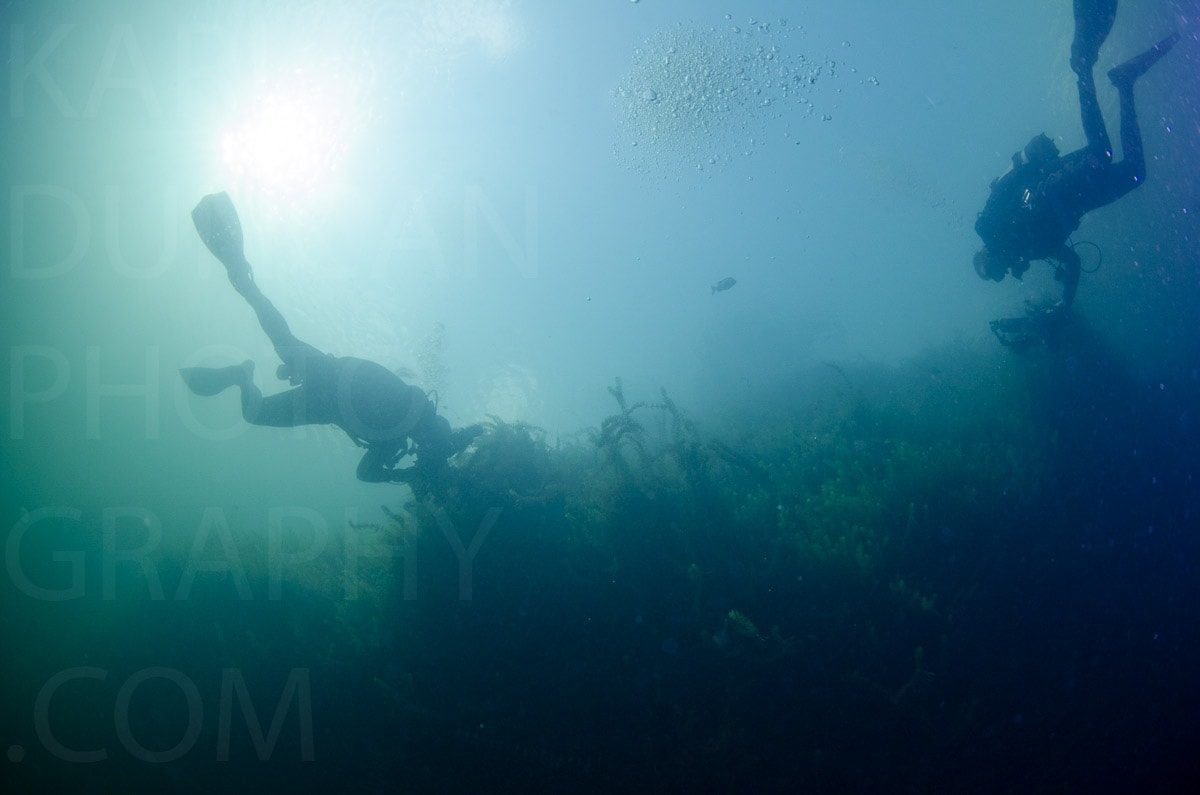 Underwater — Karl Duncan Photography