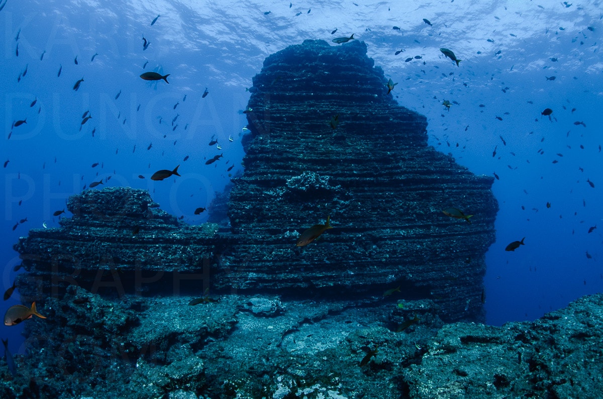 Underwater — Karl Duncan Photography