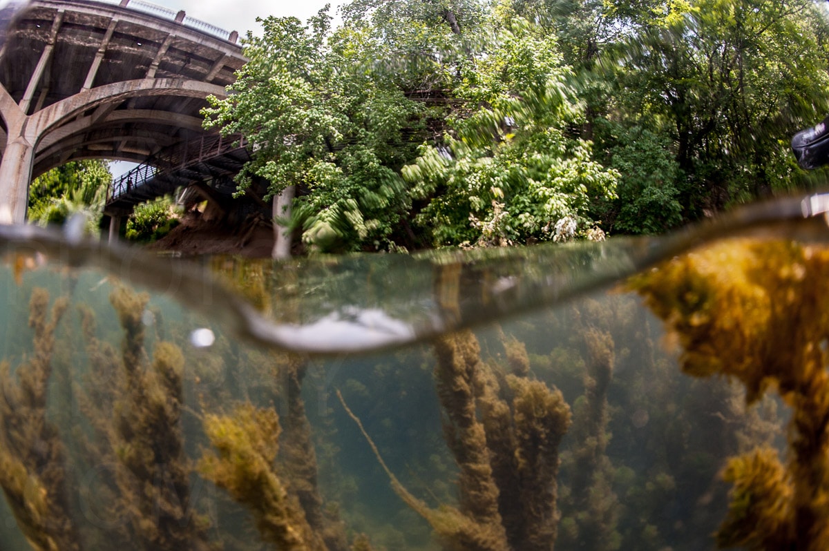 Underwater — Karl Duncan Photography