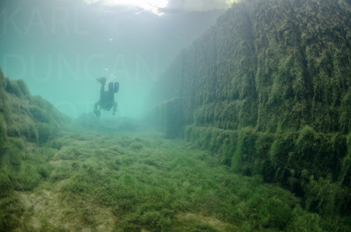 Underwater — Karl Duncan Photography