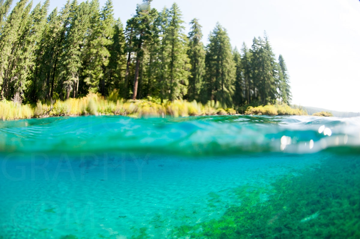 Underwater — Karl Duncan Photography