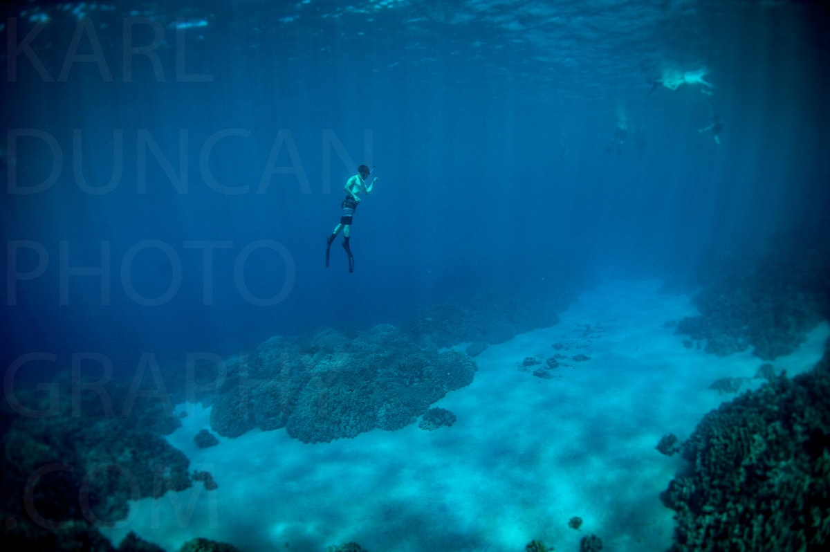 Underwater — Karl Duncan Photography