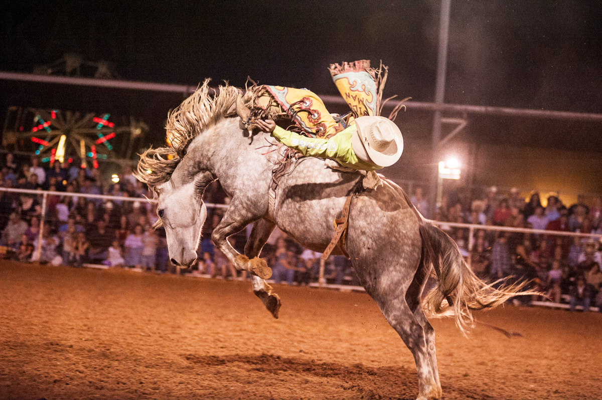 Painted rodeo horse jumping image by Karl Duncan Photography