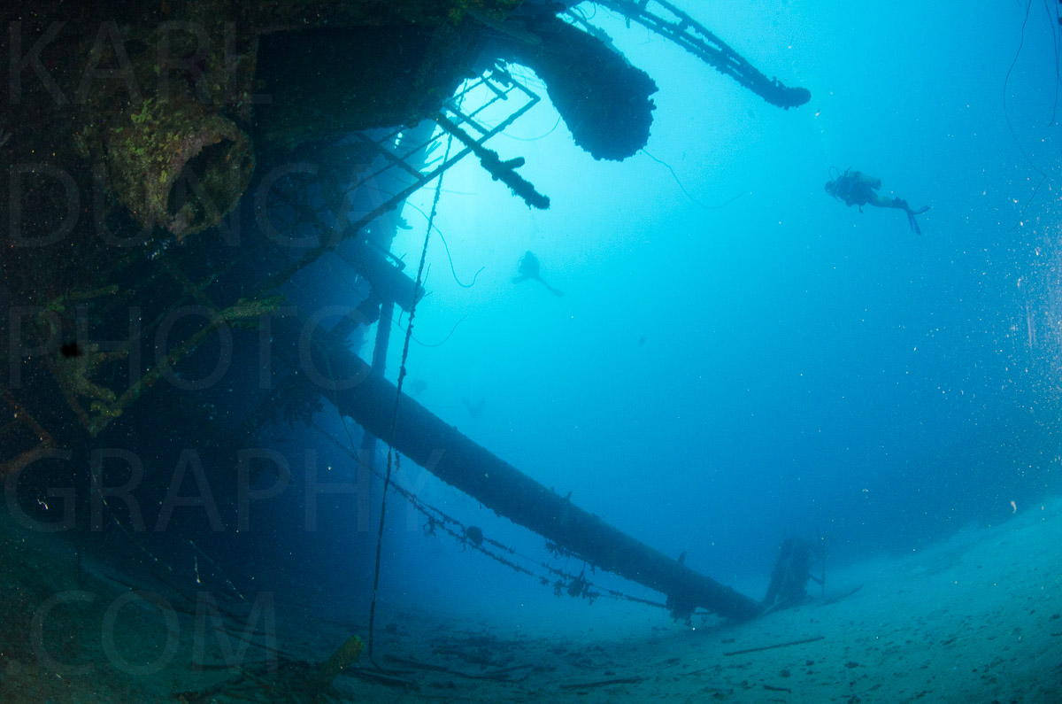 Karlduncanphoto-underwater-4847 image by Karl Duncan Photography